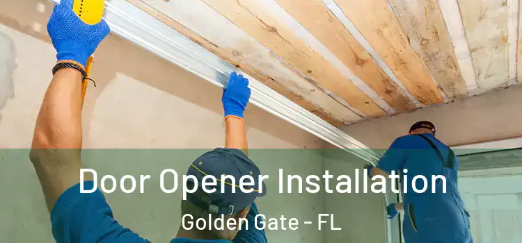  Door Opener Installation Golden Gate - FL