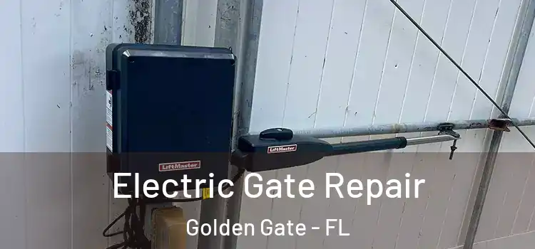  Electric Gate Repair Golden Gate - FL