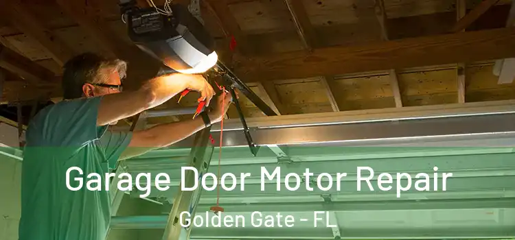  Garage Door Motor Repair Golden Gate - FL