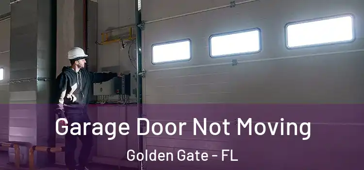  Garage Door Not Moving Golden Gate - FL