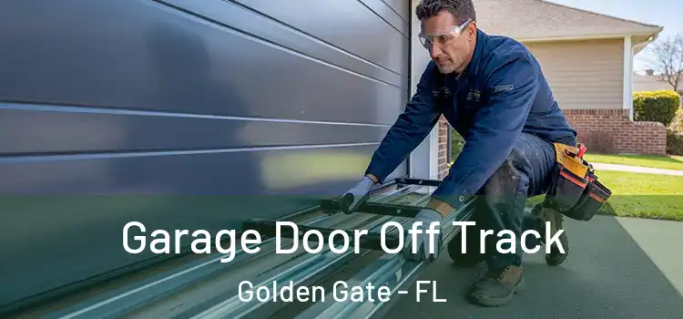  Garage Door Off Track Golden Gate - FL