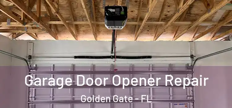  Garage Door Opener Repair Golden Gate - FL