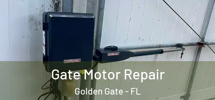  Gate Motor Repair Golden Gate - FL