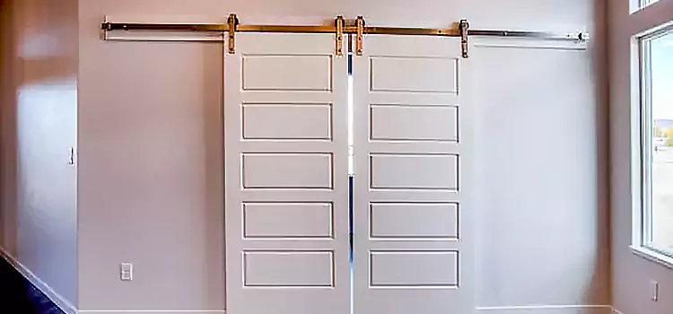 Glass Barn Door with Installation Hardware Kit Golden Gate