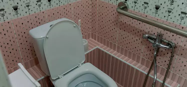 Meeting Diverse Needs With Accessible Restroom Solutions in Golden Gate, FL