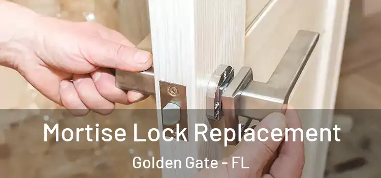  Mortise Lock Replacement Golden Gate - FL